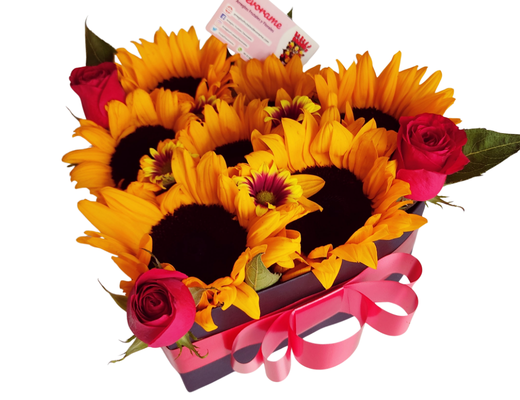 Arreglo frutal Co-64 devorame