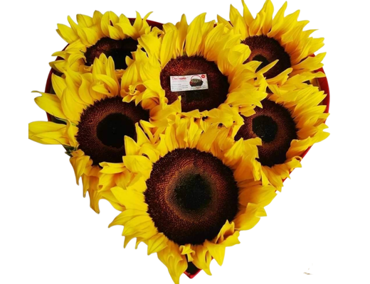 Arreglo frutal Co-42 devorame