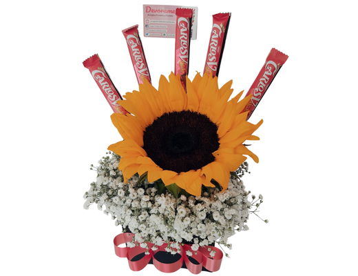 Arreglo frutal Fl-24-2 devorame