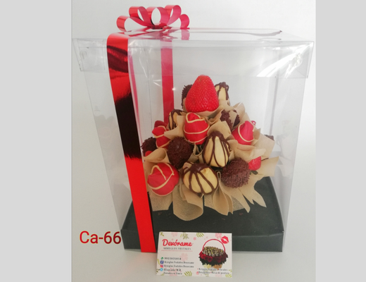Arreglo frutal Ca-66 devorame