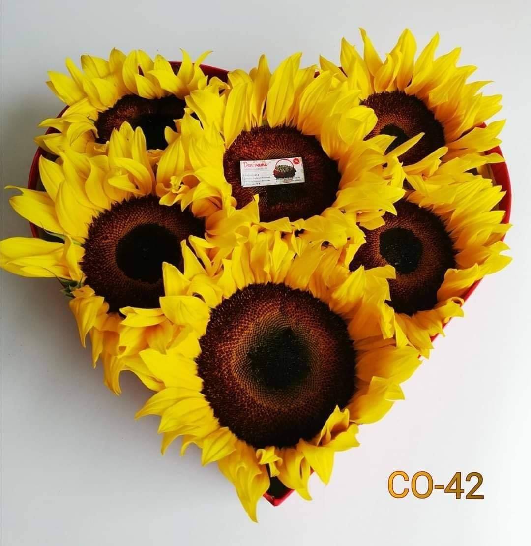 Arreglo frutal Co-42 devorame